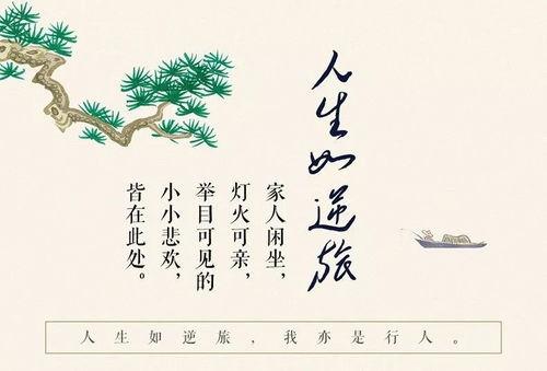 人生如逆旅,探寻生命旅程中的起伏与成长