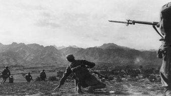 敌后武工队,敌后武工队的英勇传奇